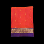 Onion